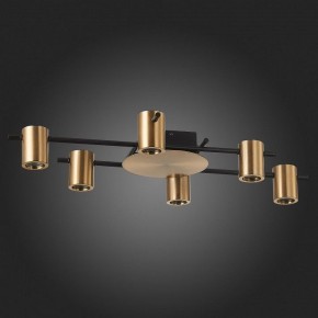 Потолочная люстра ST-Luce Veroli SL1207.402.06 в Троицке - troick.mebel24.online | фото 4