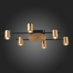 Потолочная люстра ST-Luce Veroli SL1207.402.06 в Троицке - troick.mebel24.online | фото 6
