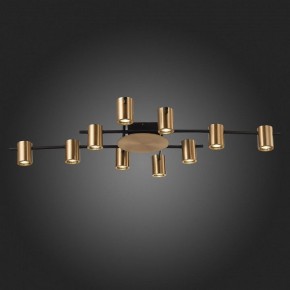 Потолочная люстра ST-Luce Veroli SL1207.402.10 в Троицке - troick.mebel24.online | фото 6