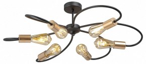 Потолочная люстра Vitaluce V3076 V3076-1/6PL в Троицке - troick.mebel24.online | фото 3