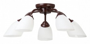 Потолочная люстра Vitaluce V3184 V3252/5PL в Троицке - troick.mebel24.online | фото