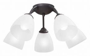 Потолочная люстра Vitaluce V3184 V3737-2/5PL в Троицке - troick.mebel24.online | фото