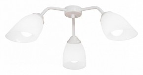 Потолочная люстра Vitaluce V31950 V31950/3PL в Троицке - troick.mebel24.online | фото