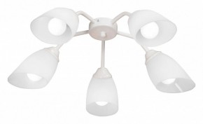 Потолочная люстра Vitaluce V31950 V31950/5PL в Троицке - troick.mebel24.online | фото