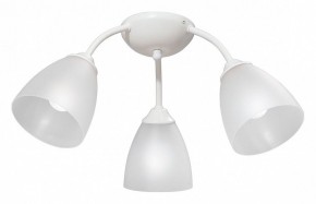 Потолочная люстра Vitaluce V3737 V3737-0/3PL в Троицке - troick.mebel24.online | фото