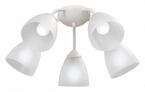 Потолочная люстра Vitaluce V3737 V3737-0/5PL в Троицке - troick.mebel24.online | фото