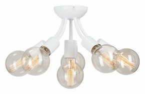 Потолочная люстра Vitaluce V3927 V3927-0/6PL в Троицке - troick.mebel24.online | фото