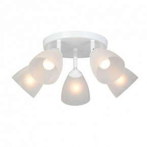 Потолочная люстра Vitaluce V4355 V4355-0/5PL в Троицке - troick.mebel24.online | фото 2
