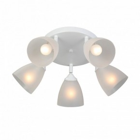 Потолочная люстра Vitaluce V4355 V4355-0/5PL в Троицке - troick.mebel24.online | фото 3