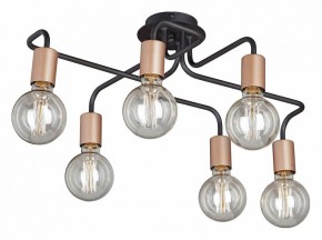 Потолочная люстра Vitaluce V4560 V4560-1/6PL в Троицке - troick.mebel24.online | фото