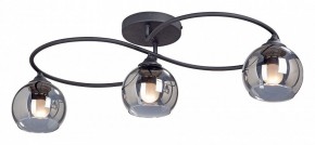 Потолочная люстра Vitaluce  V4965-1/3PL в Троицке - troick.mebel24.online | фото