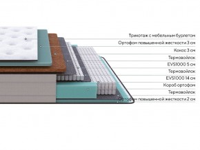 PROxSON Матрас Elysium Firm (Трикотаж Spiral-RT) 80x195 в Троицке - troick.mebel24.online | фото 2