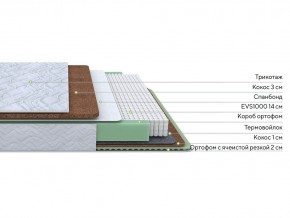 PROxSON Матрас Green Duo M/F (Tricotage Dream) 80x200 в Троицке - troick.mebel24.online | фото 1