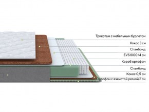 PROxSON Матрас Lux Duo M/F (Non-Stress) 160x200 в Троицке - troick.mebel24.online | фото 2