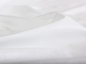 PROxSON Защитный чехол Aqua Stop Fiber (Микрофибра) 120x195 в Троицке - troick.mebel24.online | фото 4