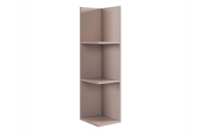 РИЧ Полка навесная 2 (кашемир) в Троицке - troick.mebel24.online | фото 4