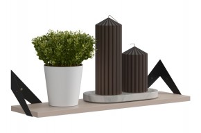 РИЧ Полка навесная в Троицке - troick.mebel24.online | фото 3
