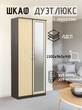 Шкаф 2-х створчатый Дуэт Люкс с зеркалом в Троицке - troick.mebel24.online | фото