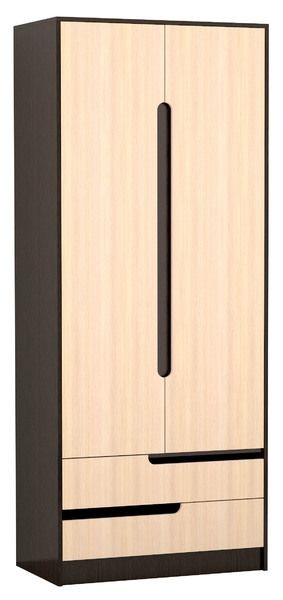 Шкаф 2-х створчатый Гавана в Троицке - troick.mebel24.online | фото 1