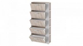 Шкаф для обуви Эрика Тип 2 в Троицке - troick.mebel24.online | фото 2