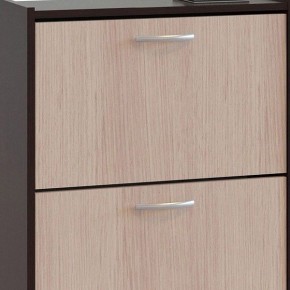 Шкаф для обуви ТО-24 в Троицке - troick.mebel24.online | фото 4