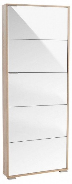 Шкаф для обуви Viva-5LW в Троицке - troick.mebel24.online | фото