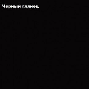 ФЛОРИС Шкаф ШК-002 в Троицке - troick.mebel24.online | фото 3