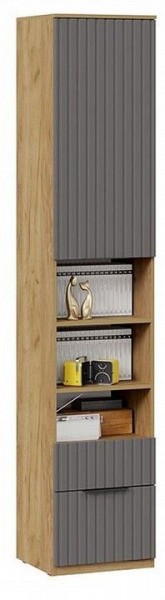 Шкаф комбинированный Хилтон Исп. 2 в Троицке - troick.mebel24.online | фото 4