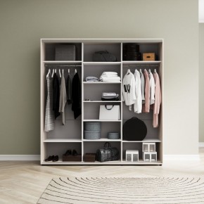 Шкаф-купе Акцент-Лайт ДЗ 2100-600 в Троицке - troick.mebel24.online | фото 7