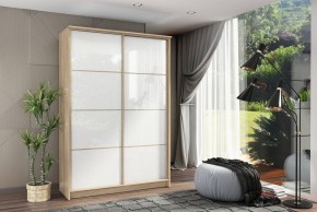 Шкаф-купе Байкал-2 СТЛ.268.11 в Троицке - troick.mebel24.online | фото