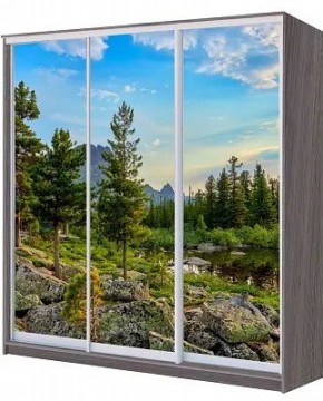 Шкаф-купе ХИТ 22-20/2-777 ПРИРОДА в Троицке - troick.mebel24.online | фото