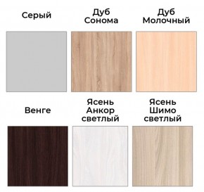 Шкаф-купе ХИТ 22-4-14-88 (420) в Троицке - troick.mebel24.online | фото 4