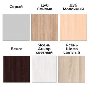Шкаф-купе ХИТ 22-4-17-55 (420) в Троицке - troick.mebel24.online | фото 3