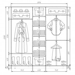 Шкаф-купе ХИТ 22-4-20-555 (420) в Троицке - troick.mebel24.online | фото 2