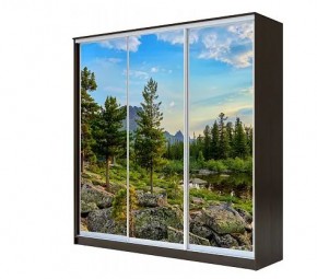 Шкаф-купе ХИТ 22-4-20-777 (420) в Троицке - troick.mebel24.online | фото