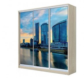 Шкаф-купе ХИТ 22-4-20-777 ЕКАТЕРИНБУРГ в Троицке - troick.mebel24.online | фото