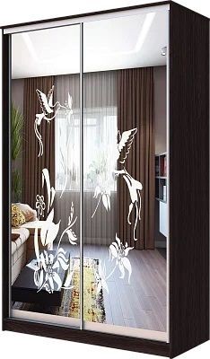 Шкаф-купе ХИТ 23-4-12/2-66 КОЛИБРИ в Троицке - troick.mebel24.online | фото