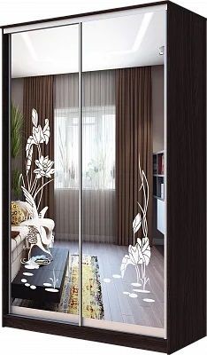 Шкаф-купе ХИТ 23-4-12-66 ЦАПЛИ в Троицке - troick.mebel24.online | фото