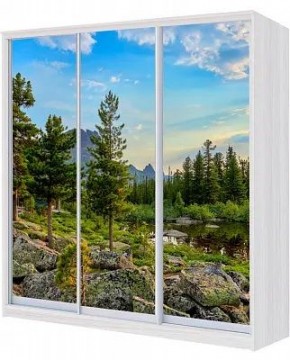 Шкаф-купе ХИТ 23-4-20/2-777 ПРИРОДА в Троицке - troick.mebel24.online | фото