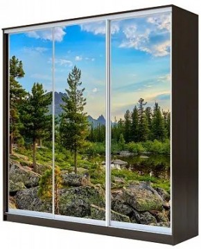 Шкаф-купе ХИТ 23-4-20-777 ПРИРОДА в Троицке - troick.mebel24.online | фото