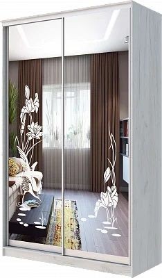Шкаф-купе ХИТ 24-14-66 ЦАПЛИ в Троицке - troick.mebel24.online | фото