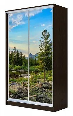 Шкаф-купе ХИТ 24-15-77 ПРИРОДА в Троицке - troick.mebel24.online | фото