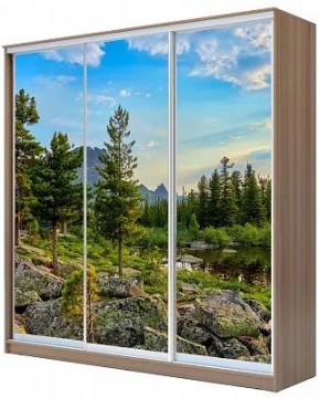 Шкаф-купе ХИТ 24-20/2-777 ПРИРОДА в Троицке - troick.mebel24.online | фото