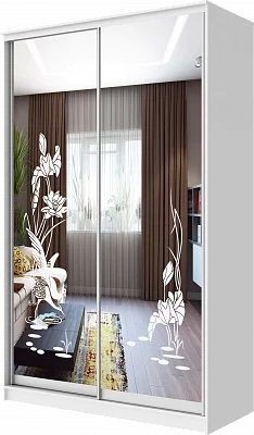 Шкаф-купе ХИТ 24-4-14-66 ЦАПЛИ в Троицке - troick.mebel24.online | фото