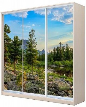 Шкаф-купе ХИТ 24-4-20-777 ПРИРОДА в Троицке - troick.mebel24.online | фото