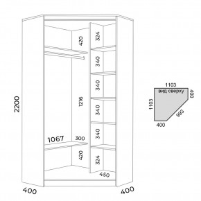 Шкаф-купе ХИТ-У-22-4-15 в Троицке - troick.mebel24.online | фото 2