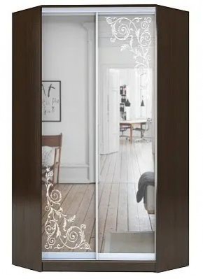 Шкаф-купе ХИТ-У-R-22-64-66 ОРНАМЕНТ в Троицке - troick.mebel24.online | фото
