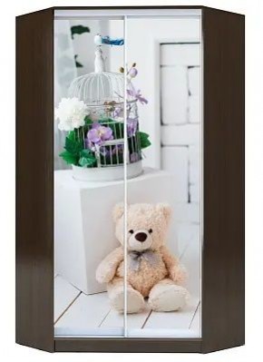 Шкаф-купе ХИТ-У-R-23-64-77 МИШКА В ИНТЕРЬЕРЕ в Троицке - troick.mebel24.online | фото