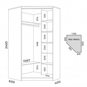 Шкаф-купе ХИТ-У-R-24-64-15 в Троицке - troick.mebel24.online | фото 3