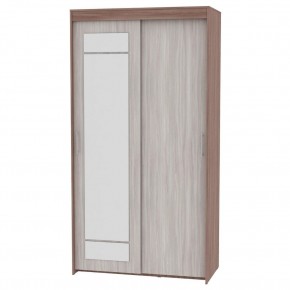 Шкаф-купе с зеркалом T-1-230х120х45-M (1-1) в Троицке - troick.mebel24.online | фото